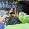 ２０１４正月帰省　その９　宜しくお願いします編