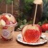 生活からでも😉