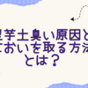 里芋が土臭い原因とにおいを取る方法とは？