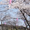 花の飛鳥山