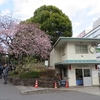 散歩：本郷・谷中・上野界隈の散歩