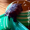 時として、奈落に落ちる・・・