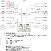 明日中止❗️(7/5に延期)