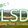 ホントに効くの？LSD（Long Slow Distance）の“非”科学的な使い方【ランニング】