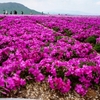 5月15日 茶臼山・萩太郎山登山