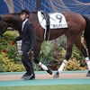 【一口馬主／ラパンラピッド】運動再開♪
