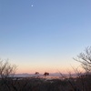 2024禁酒日332日  　12月振り返り