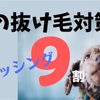 犬の抜け毛対策！解決法は定期的なブラッシングが9割