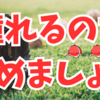  何度聞いても素晴らしい名言「憧れるのをやめましょう」😊💖✨🩷