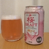 春の季節に　網走ビール 桜DRAFT