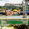 8/3(木)三河湖釣り堀で遊んだよ🐟♪
