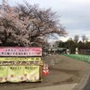 桜散るまでお花見ラン