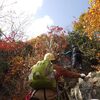 2018年11月30日(金)　[和束]鷲峰山の行場ルートの秋を楽しむ！