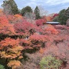 11月初旬　雑感
