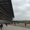 土曜日の競馬場‥‥。