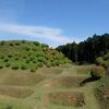 簡易眼科に行ってから、山中城跡公園をお散歩してきた。