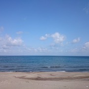 北海道 カテゴリーの記事一覧 Season S Greetings 季節のご挨拶 北海道 カテゴリーの記事一覧 Season S Greetings 季節のご挨拶