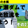 神奈川の水瓶・宮ケ瀬ダムで観光放流を見よう！（2-2）