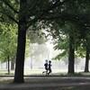 運動で体重がどれくらい減るかを計算する