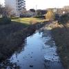 澄んだ空気の年末年始