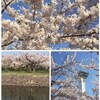 ☆ 母と散歩 ☆