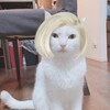 なんか..ホッとしたんですよ(・ω・)
