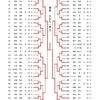 選手権大会　結果