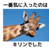 初めての動物園