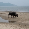 海水浴に行ってきました【今年初】