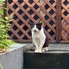 風邪ひきやすい時期