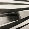 ときは　もどせない