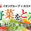 イオングループ×カゴメ共同企画｜８月31日は野菜の日 野菜をとろう！プレゼントキャンペーン