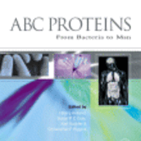 International Sociological Association