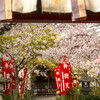 桜の長建寺