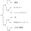 2回戦2試合目