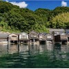 ”海の京都”　春のお出かけキャンペーンでクーポン貰えます。　