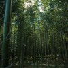 京都　嵐山　竹林の小径　天龍寺北門