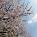 てんつまびより