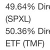 SPXL TMF 最小分散 2月リバランス