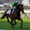 暇な大学生の競馬予想ブログ