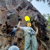 海がテーマの２日間か…