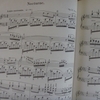 ショパン　ノクターン第８番　変ニ長調　作品27-2/Chopin Nocturne Op.27-2 Des-Dur