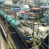 EF66 36号機と山手の桜