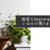 自宅でAtermを使っているので焦りましたが