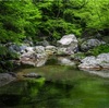 新緑の季節 愛媛県小田深山渓谷