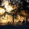 【タイで乗馬】BTSで行けるバンコクの乗馬クラブは陸軍駐屯地にあり＠The Royal Horse Guard Club