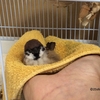久しぶり、タオルドライの様子