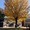 １１月４日（土）最後の紅葉狩り、昭和村へ、、、