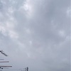 12月9日(金) 2022 令和4年🐯師走(しわす) 🌕11月16日