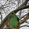 最近地震が多いので、賃貸で良かったと思う